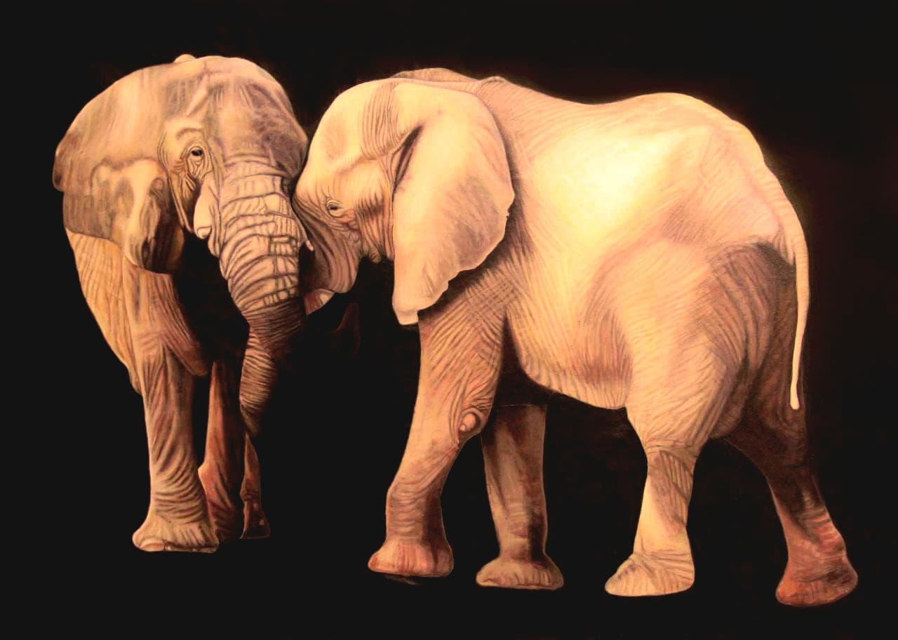 Featured artwork by Mohsen Roostaie